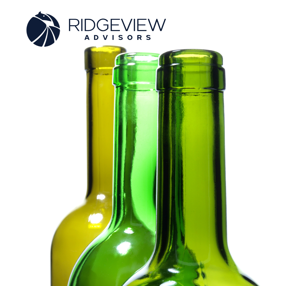 Ridgeview Advisors — scaling yourself out of the day-to-day so your MSP isn't owner-dependent.