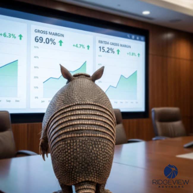 Ridgeview Advisors: an MSP leadership team preparing clean operational data for investor due diligence to protect valuation.